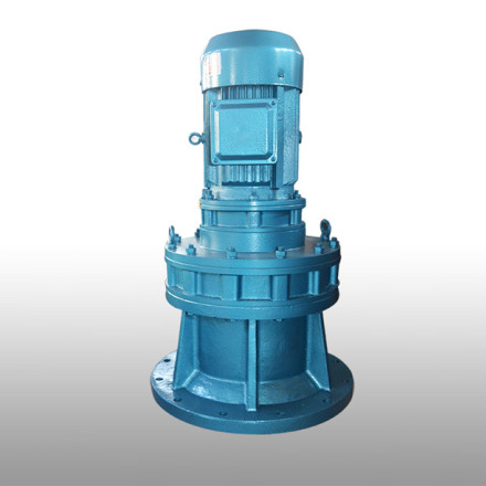 立式直聯(lián)擺線針輪減速機廠家