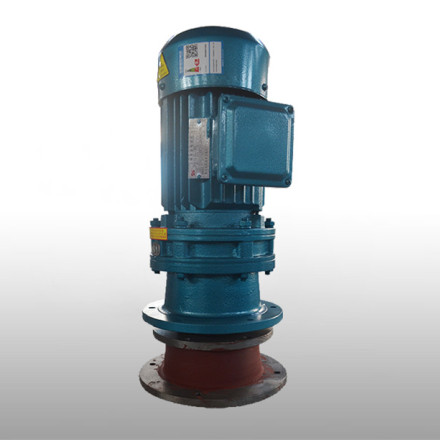 立式直聯(lián)擺線針輪減速機