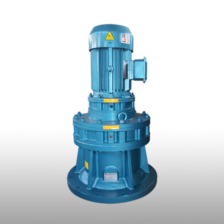 直聯(lián)擺線針輪減速機(jī)生產(chǎn)廠家